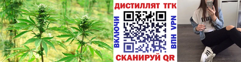 где продают   Мостовской  Дистиллят ТГК гашишное масло 